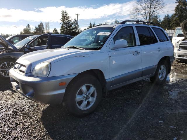 hyundai santa fe g 2005 km8sc13d75u938125