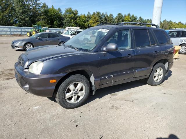 hyundai santa fe g 2006 km8sc13d76u070175