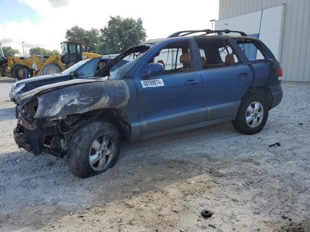 hyundai santa fe 2006 km8sc13d76u092287