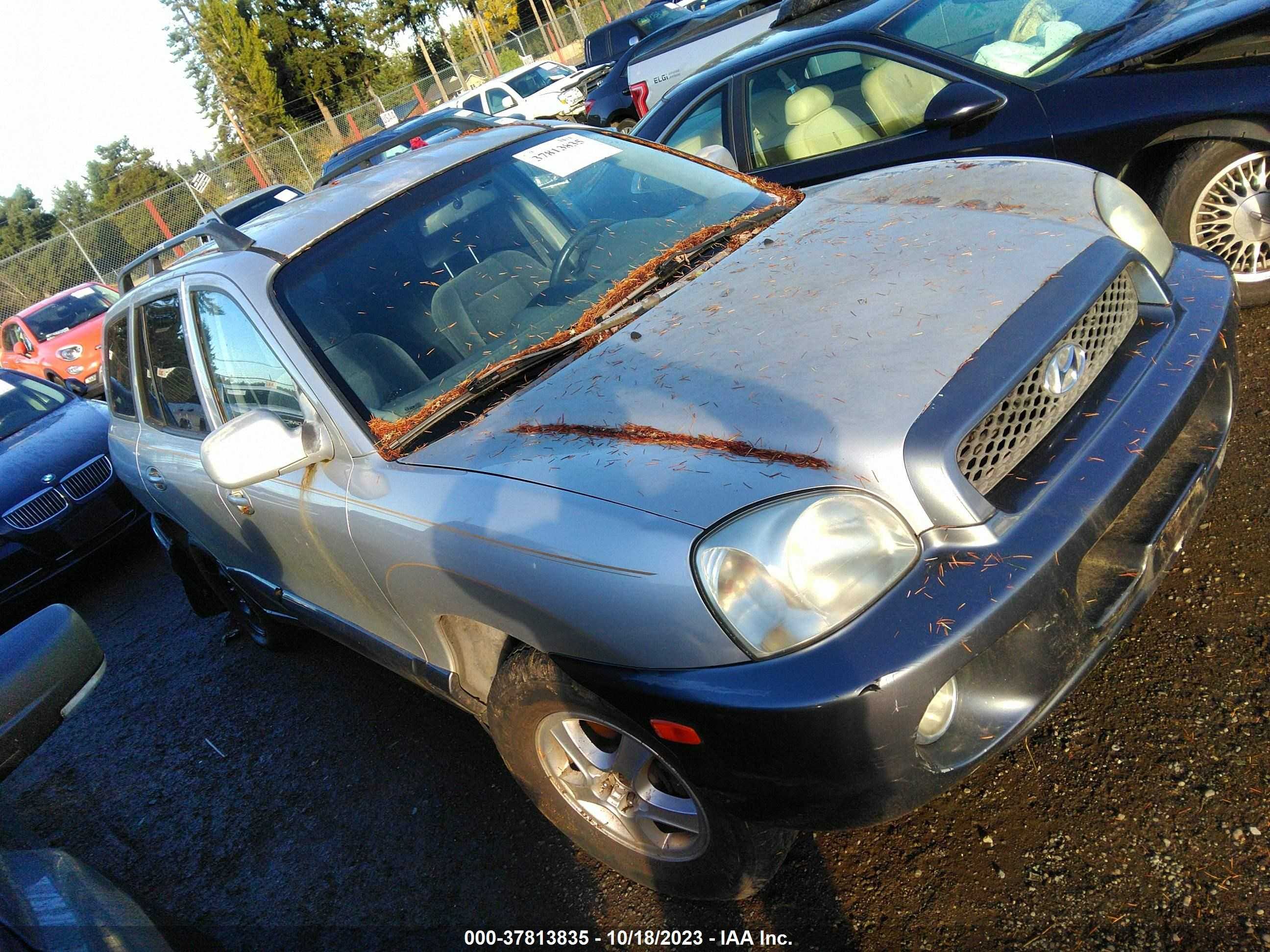 hyundai santa fe 2004 km8sc13d94u788954