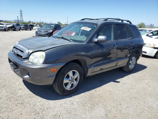 hyundai santa fe g 2006 km8sc13dx6u107994