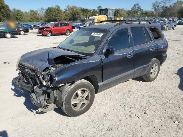 hyundai santa fe g 2004 km8sc13e14u601747