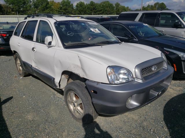 hyundai santa fe g 2004 km8sc13e34u801173