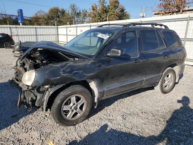 hyundai santa fe g 2003 km8sc73d73u359572