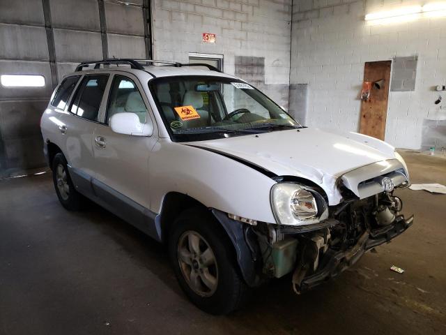 hyundai santa fe g 2005 km8sc73d75u961195