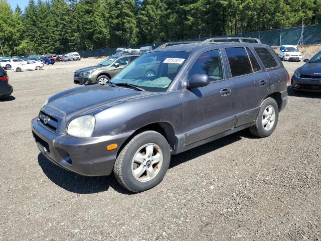 hyundai santa fe g 2005 km8sc73d95u914105