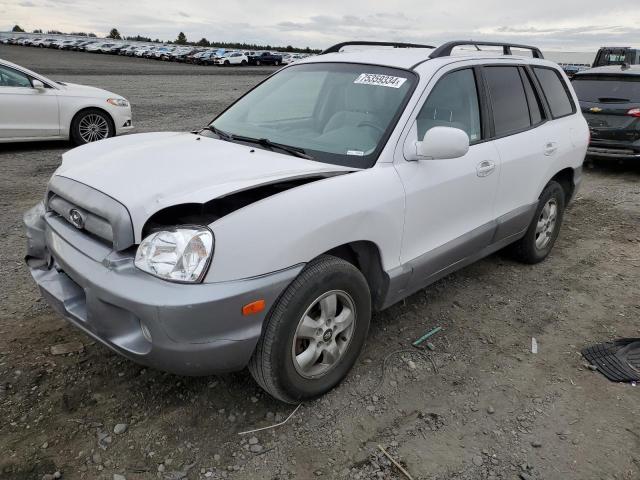 hyundai santa fe g 2006 km8sc73d96u088180