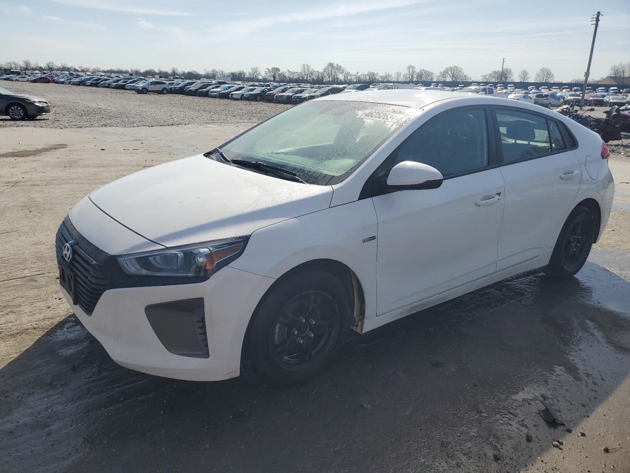 hyundai ioniq 2019 kmhc65lc0ku115428