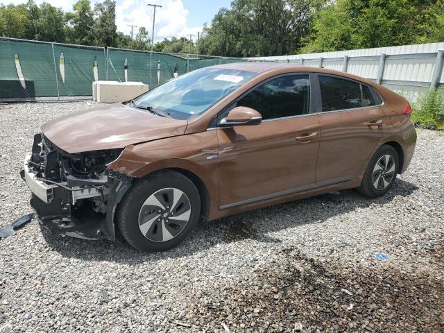 hyundai ioniq sel 2019 kmhc75lc8ku119725