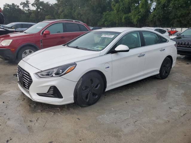 hyundai sonata plu 2019 kmhe14l27ka093101