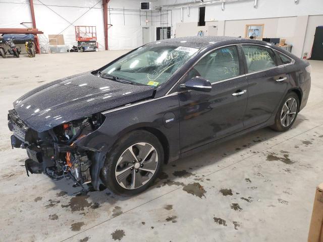 hyundai sonata plu 2019 kmhe14l2xka093366