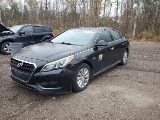 hyundai sonata hyb 2016 kmhe24l13ga010274