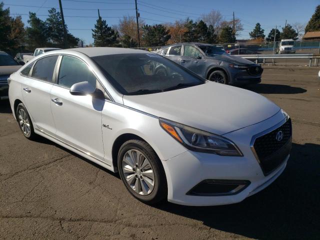 hyundai sonata hyb 2016 kmhe24l16ga027182