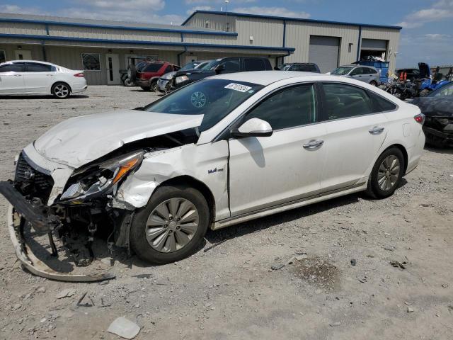 hyundai sonata hyb 2016 kmhe24l18ga020234