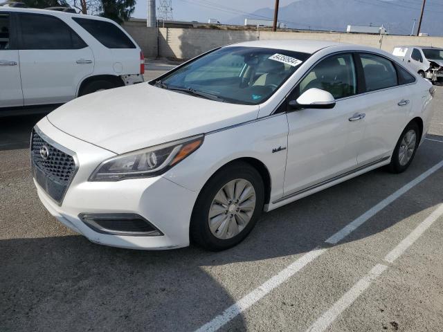 hyundai sonata hyb 2016 kmhe24l19ga008920