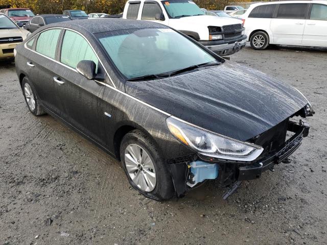 hyundai sonata hyb 2019 kmhe24l33ka091531