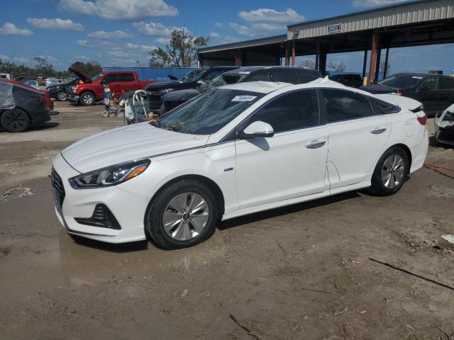 hyundai sonata hyb 2019 kmhe24l39ka094126