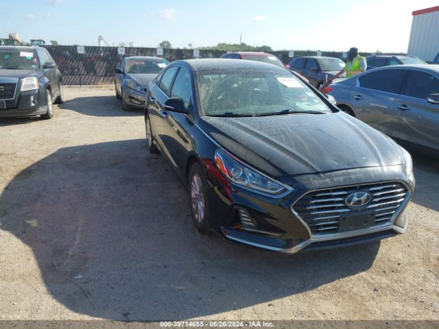 hyundai sonata 2019 kmhe24l3xka091767