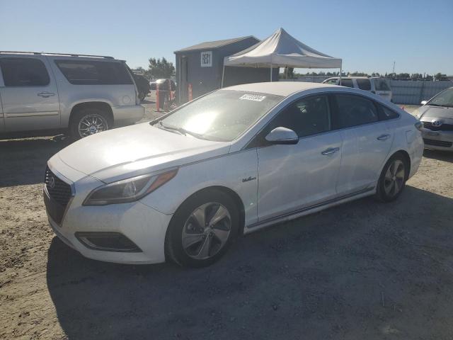 hyundai sonata hyb 2016 kmhe34l18ga031179