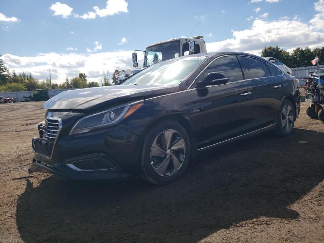 hyundai sonata hyb 2016 kmhe34l19ga010180