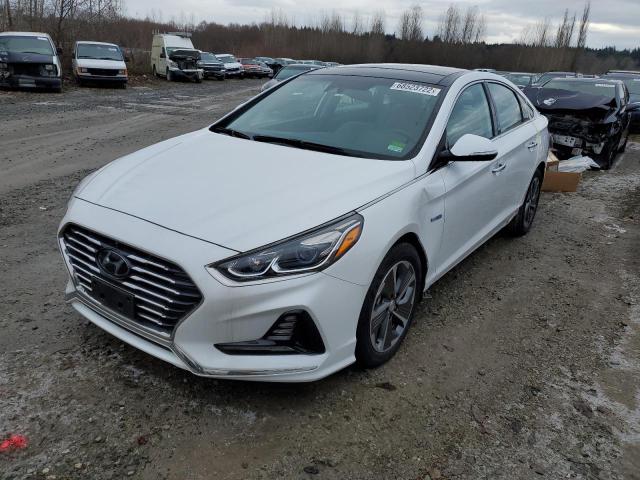 hyundai sonata hyb 2019 kmhe34l38ka087987