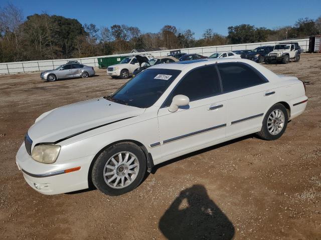 hyundai grandeur 2005 kmhfu45e45a381603