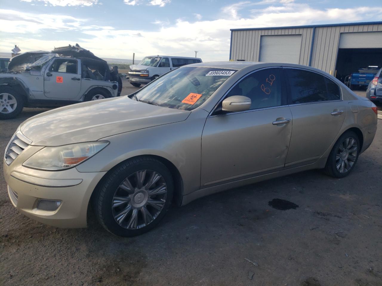 hyundai genesis 2009 kmhgc46e19u024809