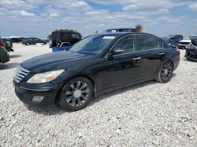 hyundai genesis 3. 2009 kmhgc46e59u058056