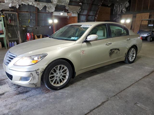 hyundai genesis 3. 2009 kmhgc46e69u025194