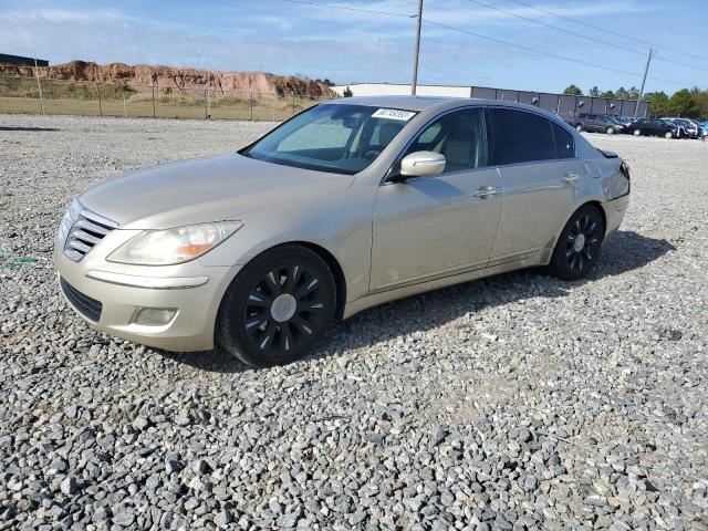 hyundai genesis 2009 kmhgc46e99u041048