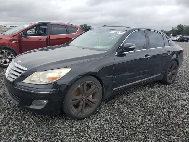 hyundai genesis 4. 2009 kmhgc46f19u045202