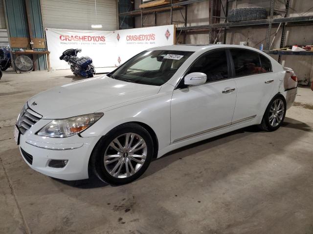 hyundai genesis 4. 2009 kmhgc46f19u055342