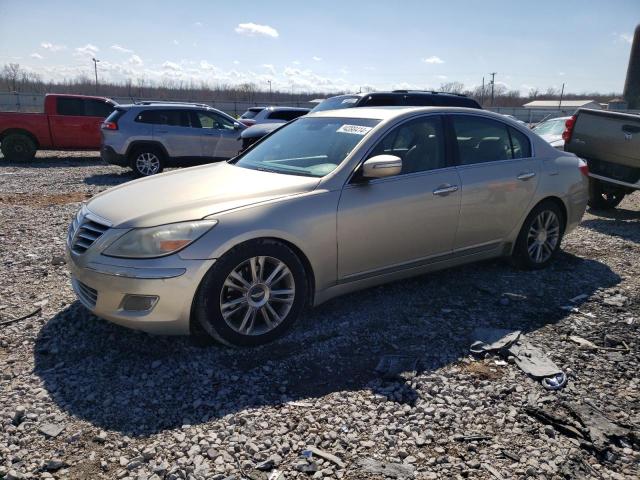 hyundai genesis 4. 2009 kmhgc46f49u032153