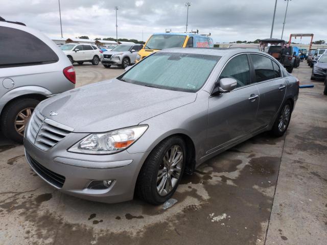 hyundai genesis 4. 2009 kmhgc46f89u062224