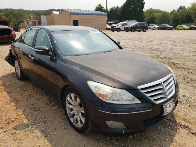 hyundai genesis 3. 2010 kmhgc4de6au095480