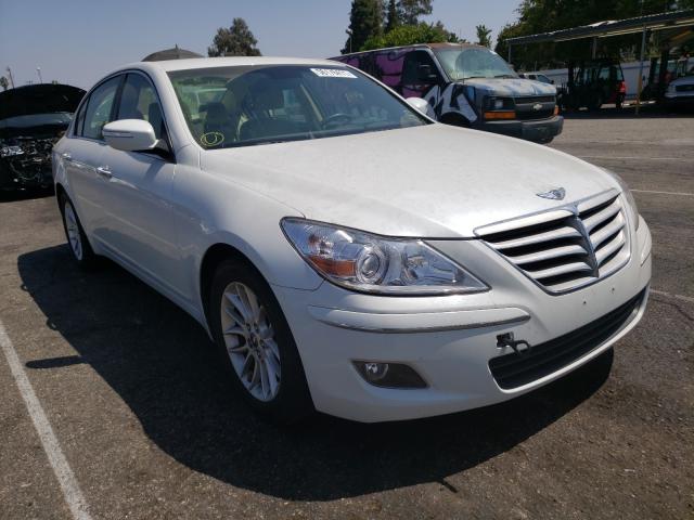 hyundai genesis 3. 2011 kmhgc4de7bu136314