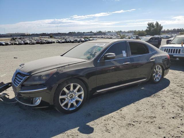 hyundai equus sign 2011 kmhgh4jf6bu028474