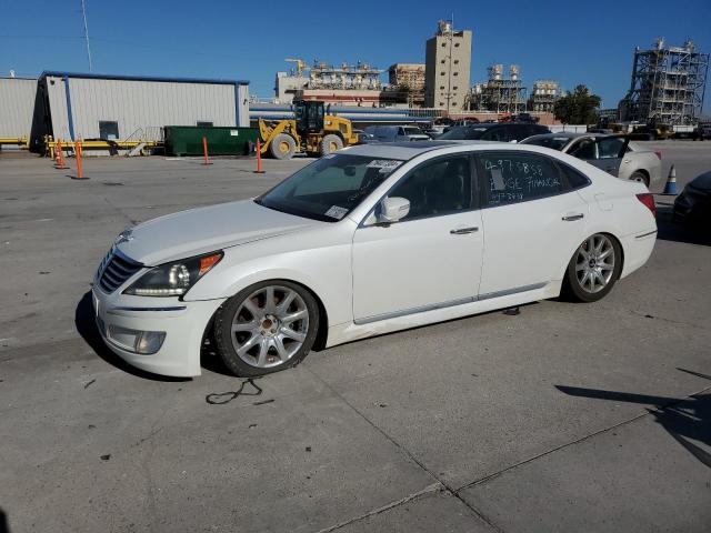 hyundai equus sign 2011 kmhgh4jf6bu038728