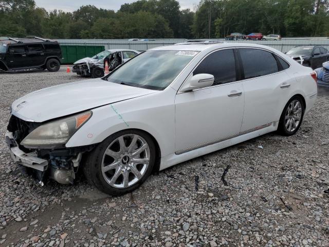 hyundai equus sign 2012 kmhgh4jh9cu054828