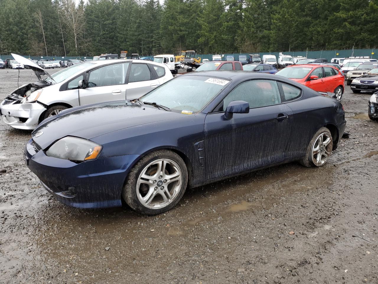 hyundai tiburon 2006 kmhhn65f76u212508