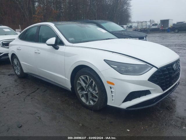 hyundai sonata 2023 kmhl14ja2pa311793