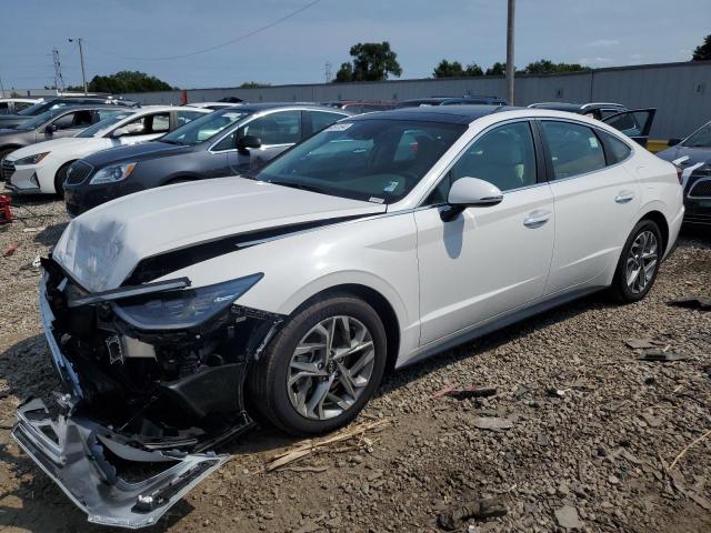 hyundai sonata sel 2023 kmhl14jaxpa328731