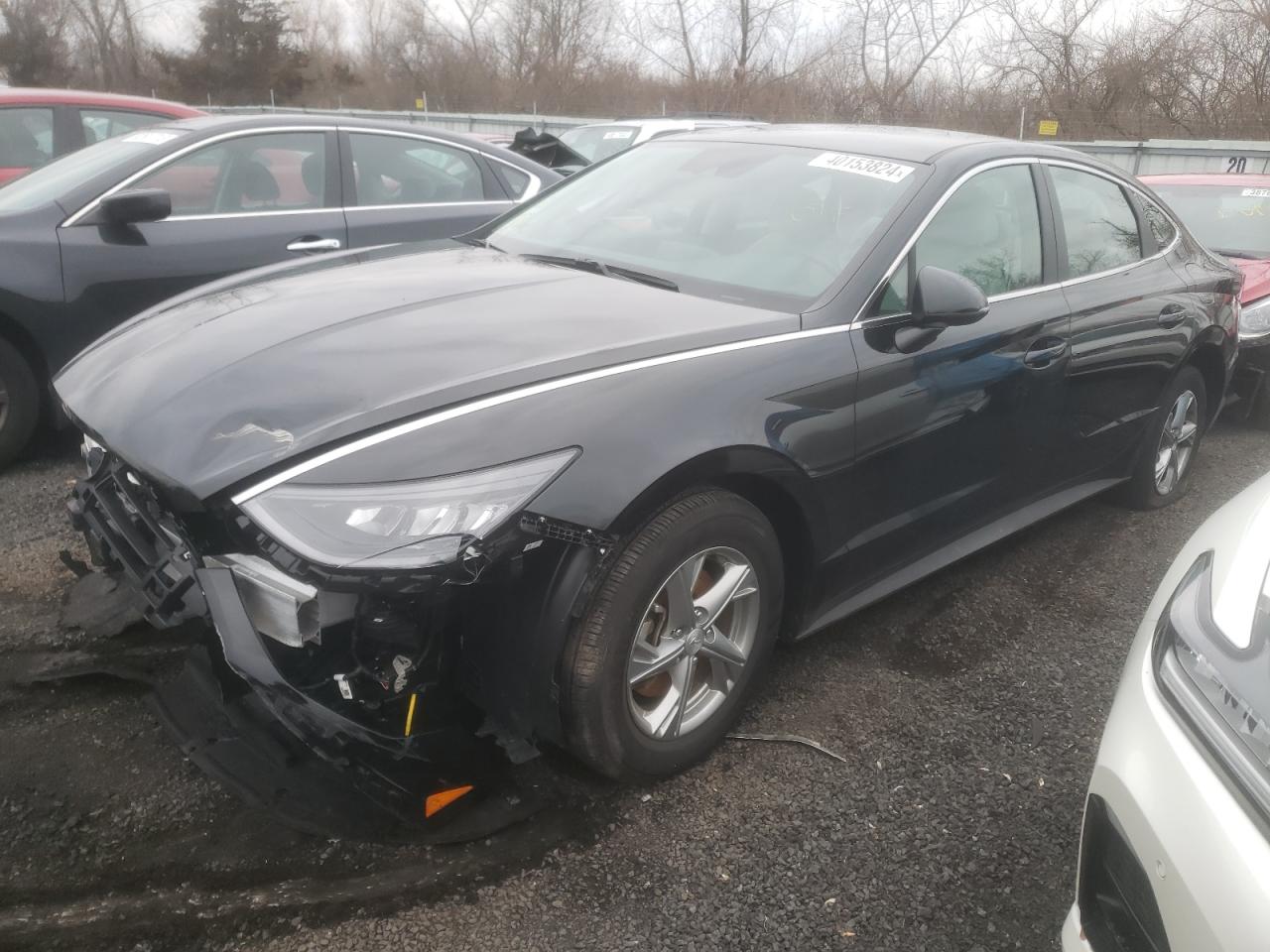 hyundai sonata 2023 kmhl24ja1pa275978