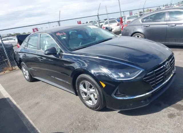 hyundai sonata 2023 kmhl24jaxpa264459