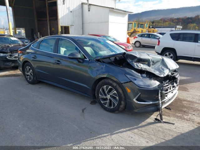 hyundai sonata hybrid 2021 kmhl24jj4ma029387