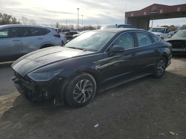 hyundai sonata hyb 2023 kmhl24jj5pa078375