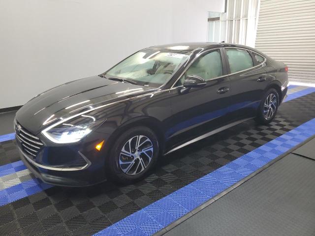 hyundai sonata 2021 kmhl24jj6ma029701