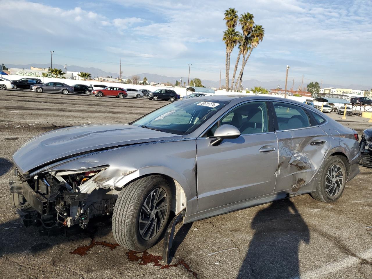 hyundai sonata 2021 kmhl24jj7ma020585