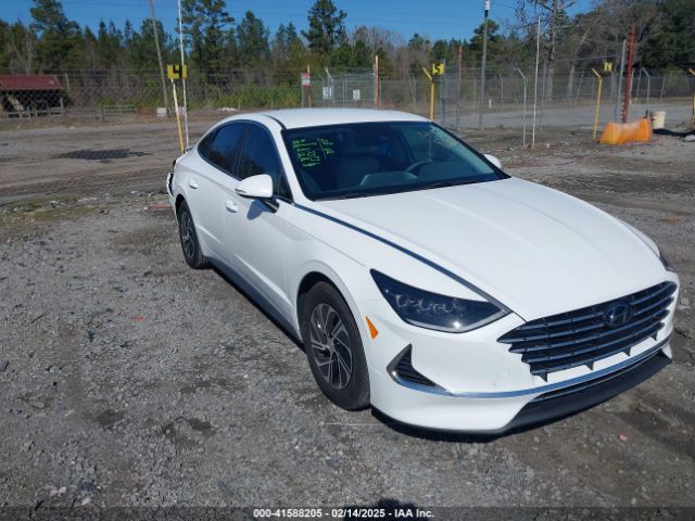 hyundai sonata 2023 kmhl24jj7pa069421