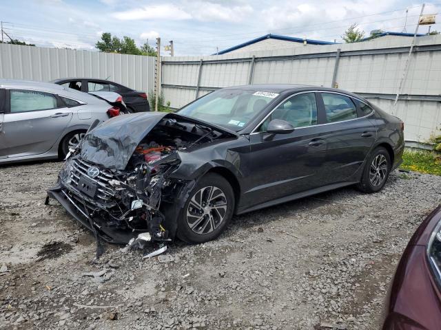 hyundai sonata 2023 kmhl24jj7pa083383